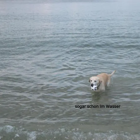 Ostseele - Sunny * Timmendorfer Strand