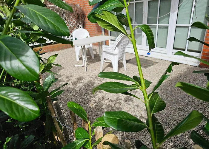 Ostseele - Sunny Apartment *