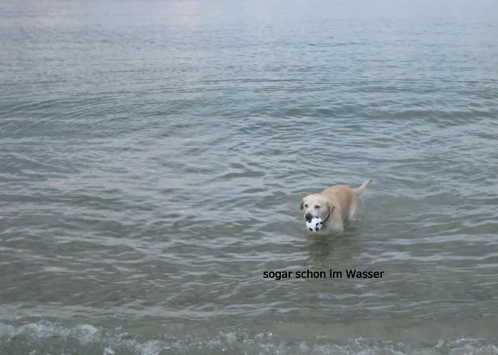 Ostseele - Sunny * Timmendorfer Strand